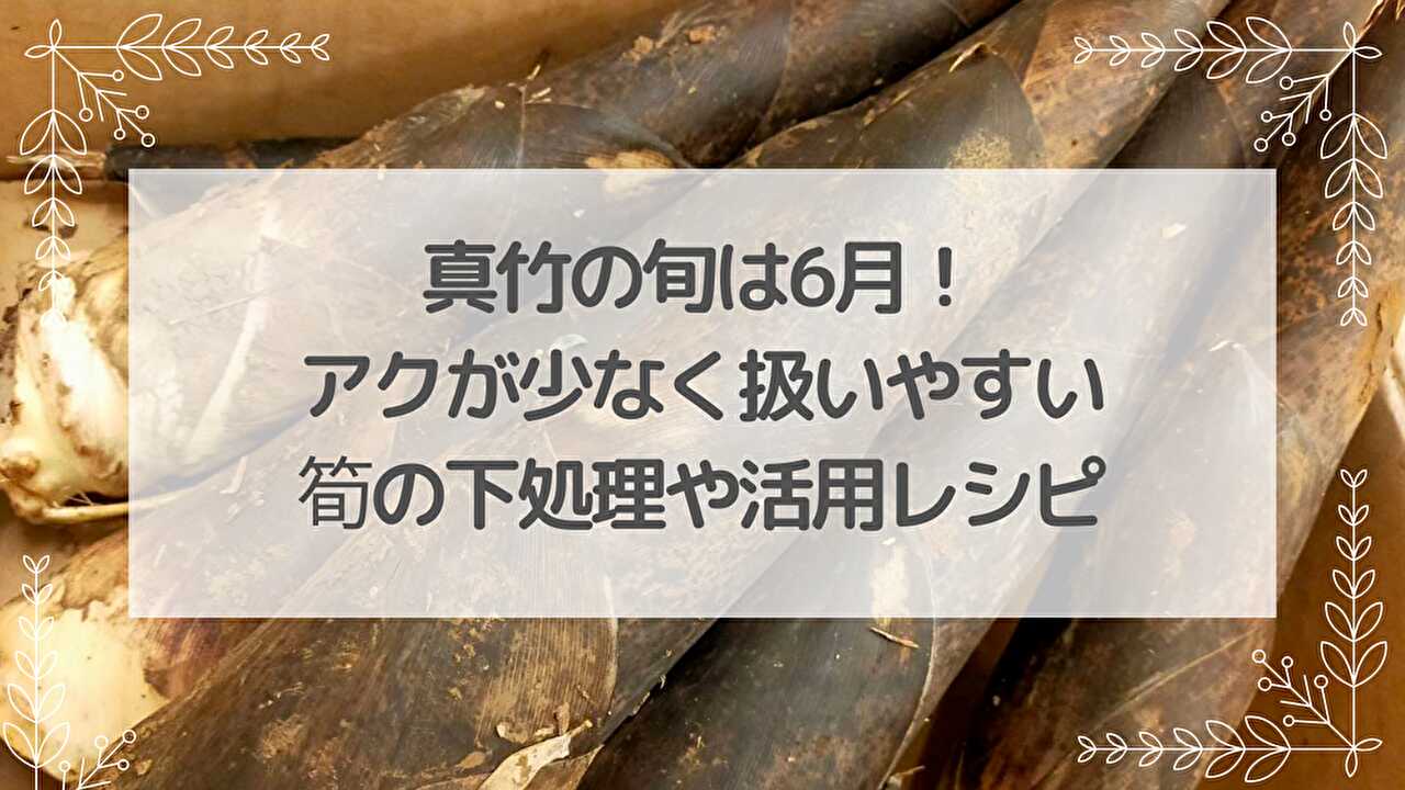 筍・真竹・旬・アク抜き